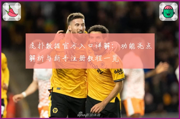 虎扑数据官方入口详解：功能亮点解析与新手注册教程一览