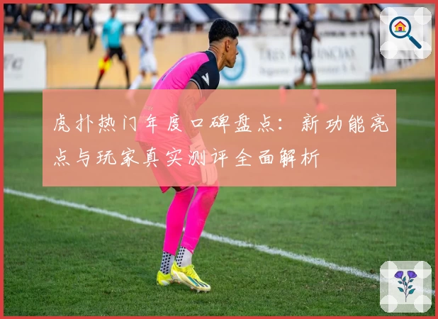 虎扑热门年度口碑盘点：新功能亮点与玩家真实测评全面解析