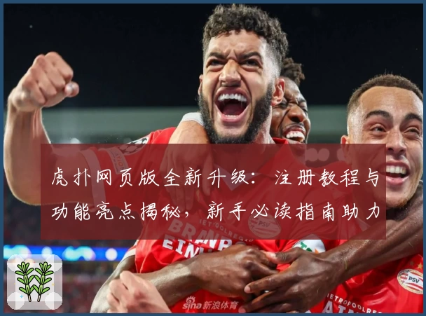 虎扑网页版全新升级：注册教程与功能亮点揭秘，新手必读指南助力无缝上手